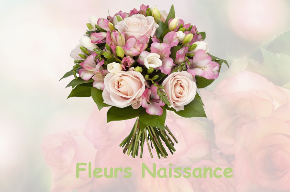 fleurs naissance PARMILIEU