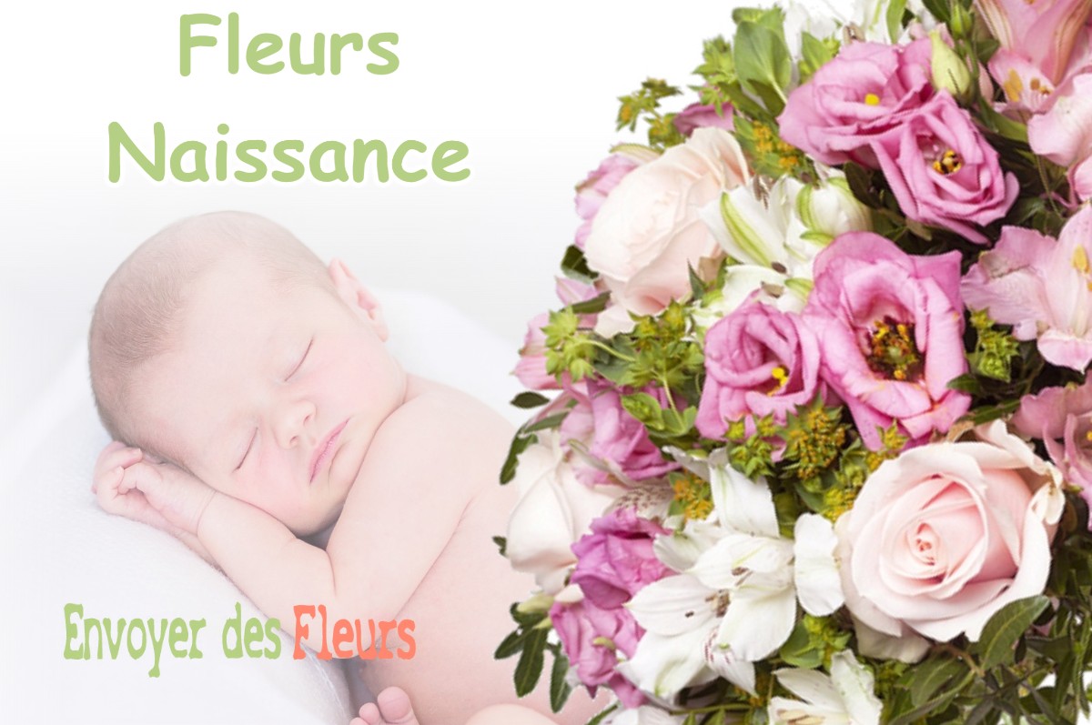 lIVRAISON FLEURS NAISSANCE à PARMILIEU